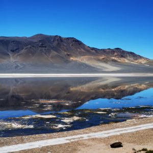Ruta de los Salares (full day)